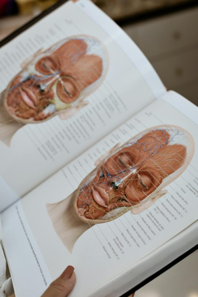 A book opened to a diagram of all the parts of the nerves and muscles in the face.