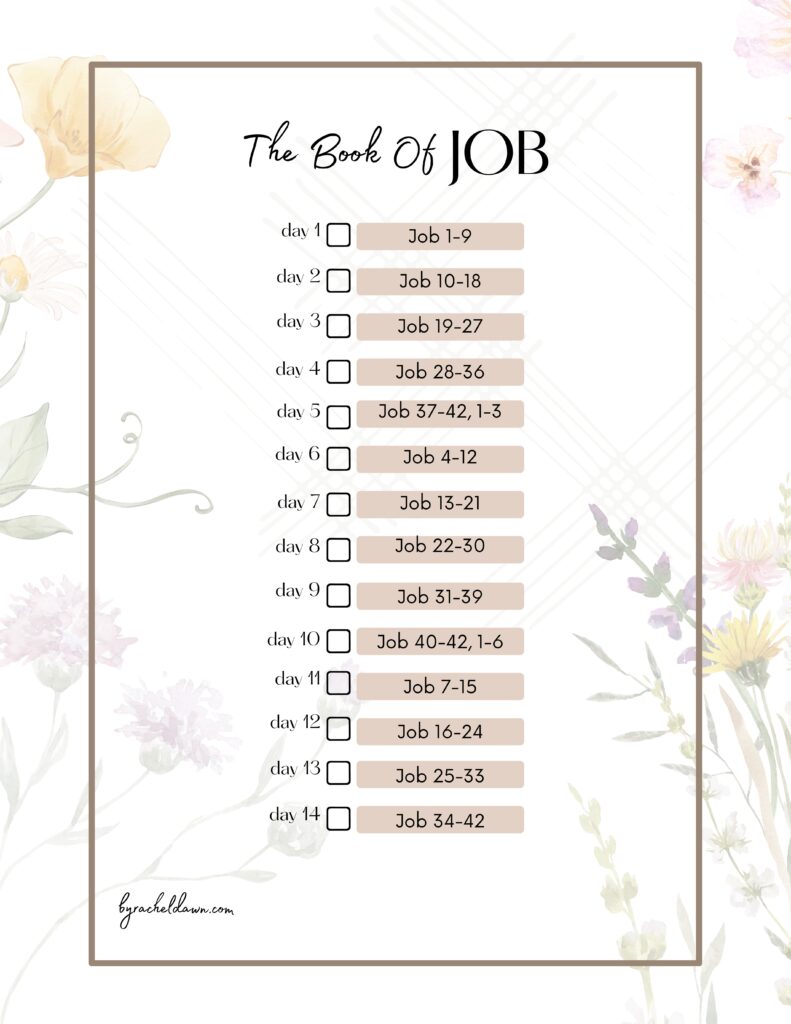 Book of Job Study, go through 3 times in 2 weeks