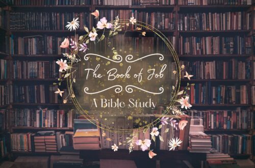 Book of Job Study