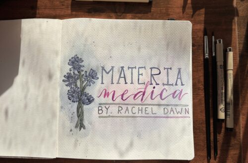 Materia Medica Painting sitting on a table
