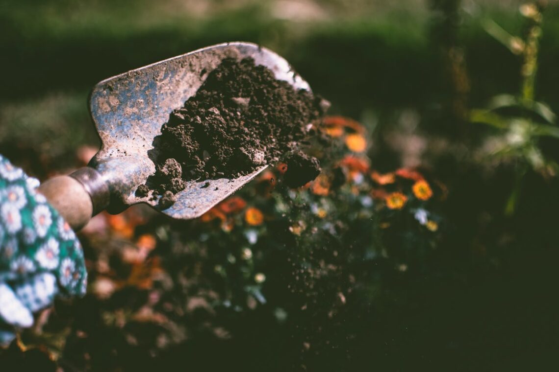 soil in a garden shovel