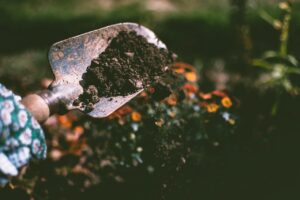 soil in a garden shovel