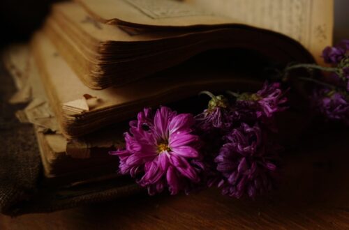 moody photo of book and flowers